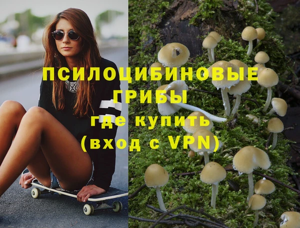 дмт Дмитриев