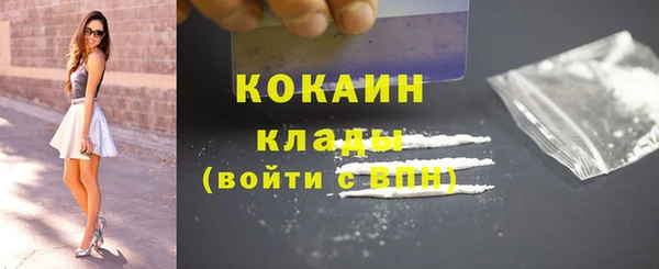 дмт Дмитриев