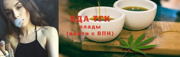 индика Сясьстрой