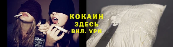 индика Сясьстрой