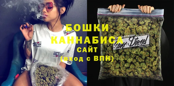 СК Дмитровск