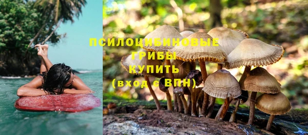СК Дмитровск