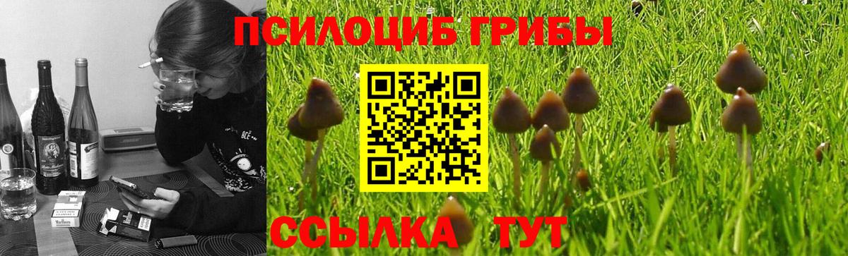 Гуково  Псилоцибиновые грибы мухоморы  Псилоцибиновые грибы Psilocybe  Вход с VPN 
